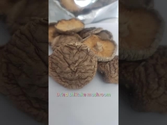 Húngos shiitake secos y planos de primera calidad ricos en proteínas