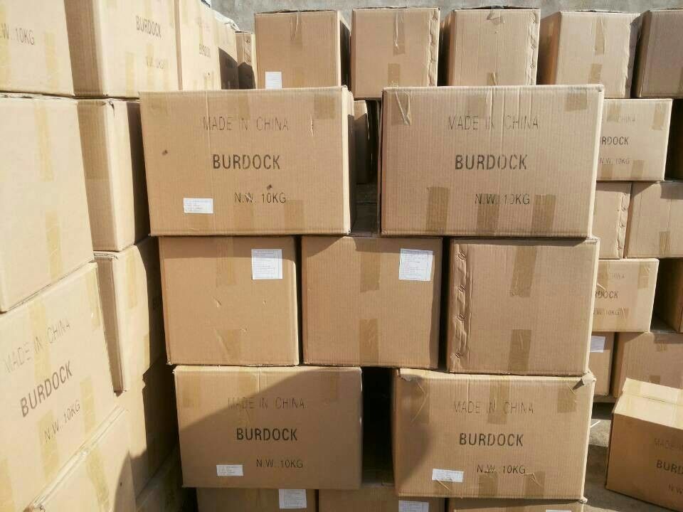 Materia prima farmacéutica afeitada secada aire de la bardana 4 * 4 * 80m m de los productos de la atención sanitaria