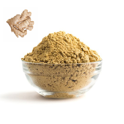 Humedad Ginger Powder seco orgánico 80 - del 10% malla 100