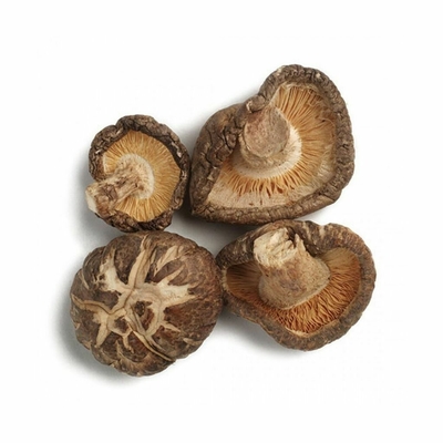 El Shiitake secado deshidratado prolifera rápidamente casquillo de los 4-5CM para el restaurante