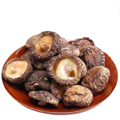 Mediano Tamaño Champiñones Shiitake Secos Cristales En lugar seco Almacenamiento