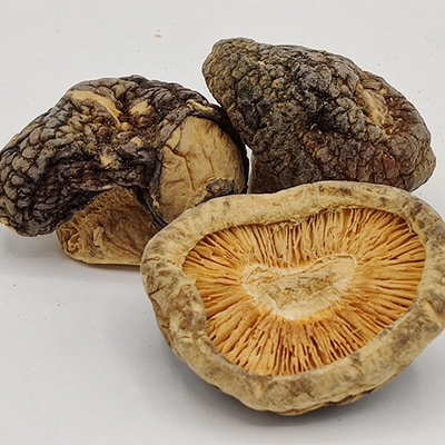 Comidas diarias Champiñones shiitake secos marrones almacenados en un lugar seco
