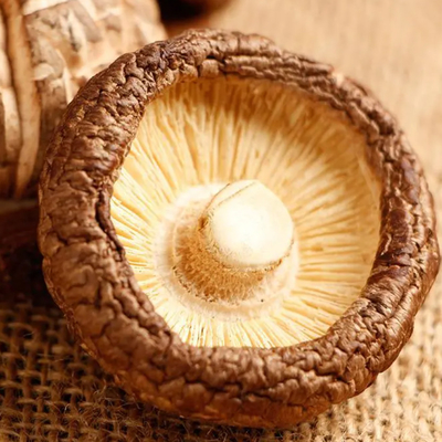 Hongo Shiitake seco rico en proteínas con sabor a hongo y calidad textural