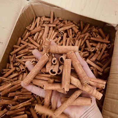 Bastones de canela de Ceilán de primera calidad para especias y hierbas