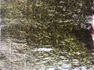 alga marina condimentada Wasabi del 19x21CM, hojas de alga marina secadas de Nori del sushi