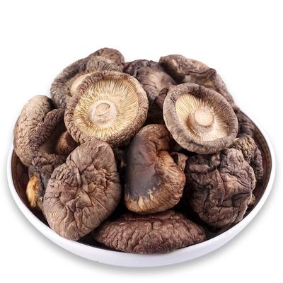 Húngos marrones secos de forma plana con alto contenido de proteínas