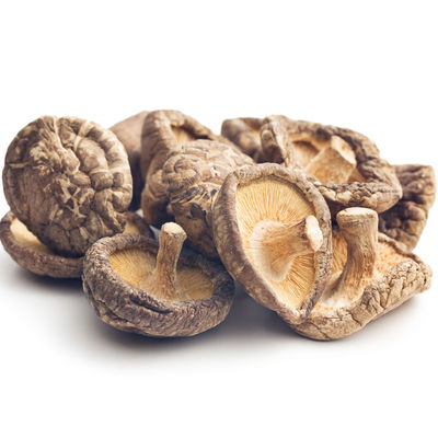 Hongo de Shiitake para cocinar y salud