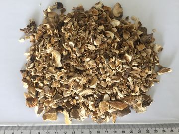 El Shiitake deshidratado prolifera rápidamente tamaño de los gránulos 10x10m m con gusto natural