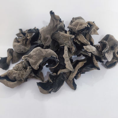 Fungos negros secos de alta nutrición 2 - 2,5 cm Alimentos saludables Fungos secos