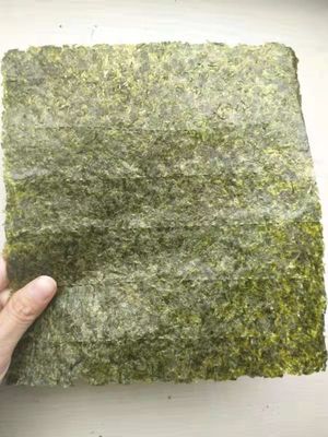 Envuelva las hojas de la comida 50 embalan la alga marina asada seca Nori Dark Green